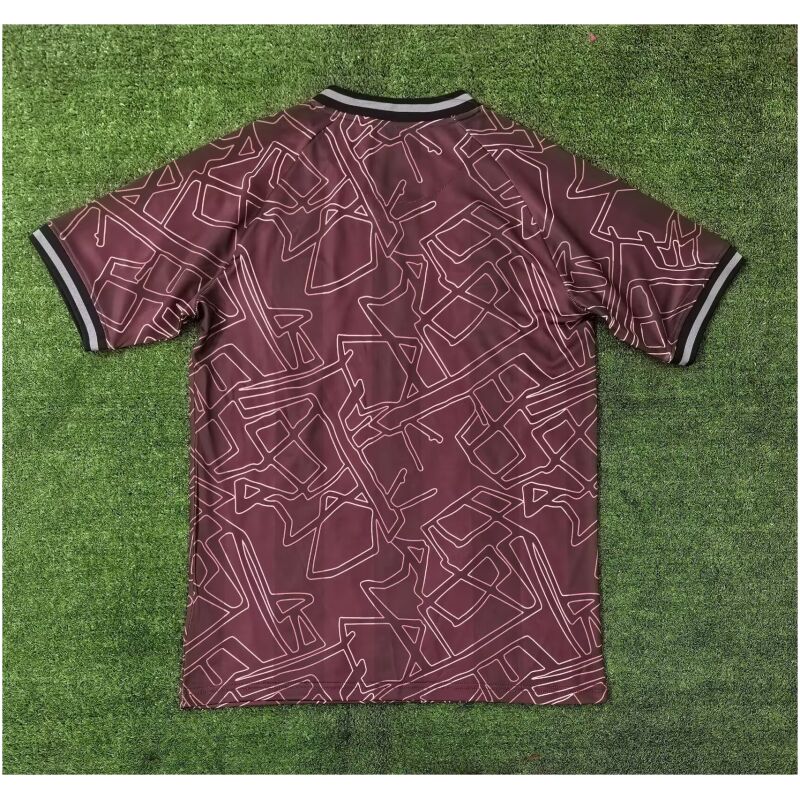 Mens Denmark Special Dark Red Jersey 2025