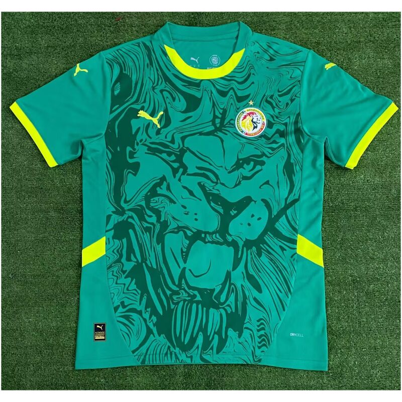 Mens Senegal Away Jersey 2025