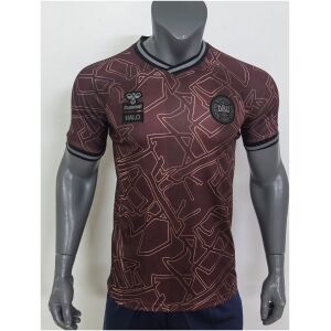 Mens Denmark Special Dark Red Jersey 2025