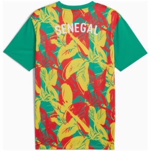 Mens Senegal Pre-Match Green Jersey 2025