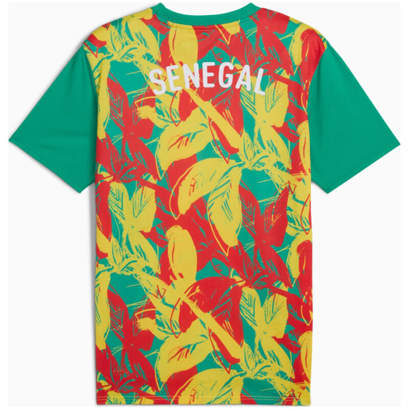 Mens Senegal Pre-Match Green Jersey 2025