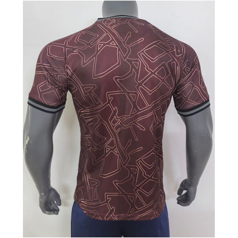 Mens Denmark Special Dark Red Jersey 2025