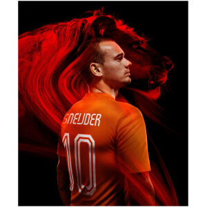 Mens Netherlands Retro Home Jersey 2014