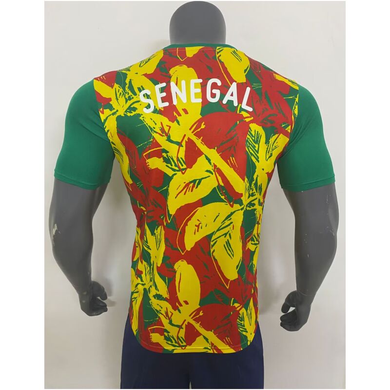 Mens Senegal Pre-Match Green Jersey 2025