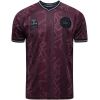 Mens Denmark Special Dark Red Jersey 2025