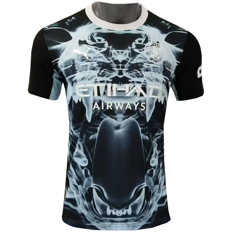 Herren Manchester City Sonderausgabe Schwarz Trikot 2025/26