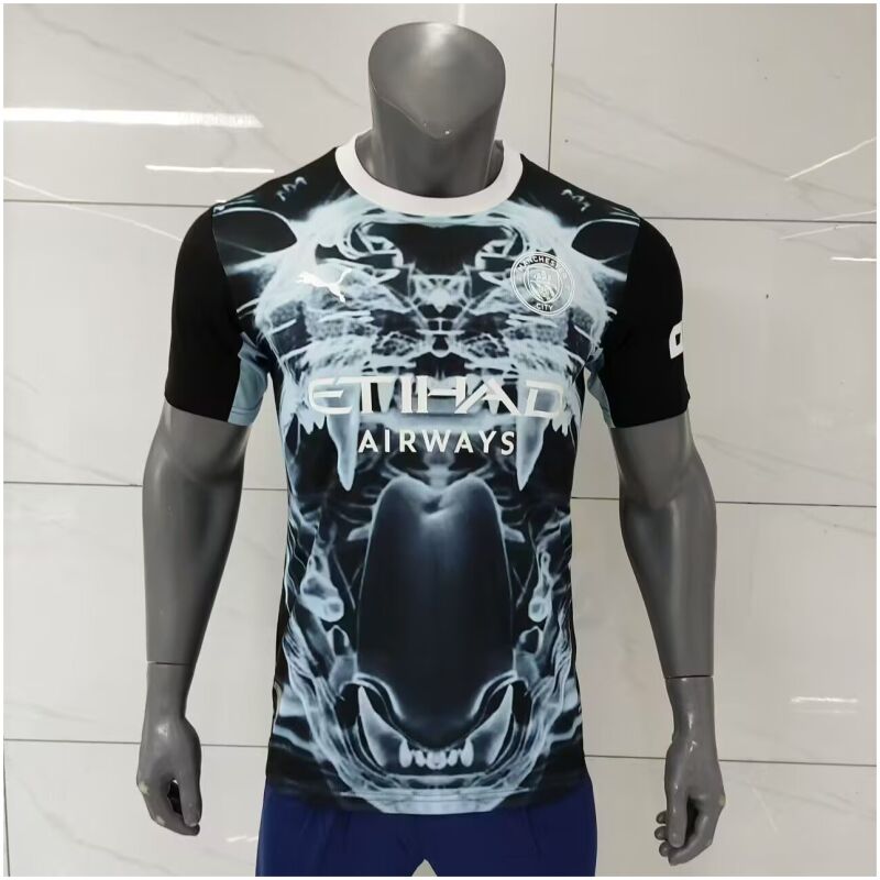 Herren Manchester City Sonderausgabe Schwarz Trikot 2025/26
