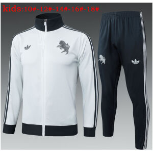 Kids Juventus Jacket + Pants Training Suit Light Grey 2024/25