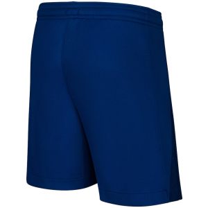 Mens PSG Fourth Shorts 2024/25
