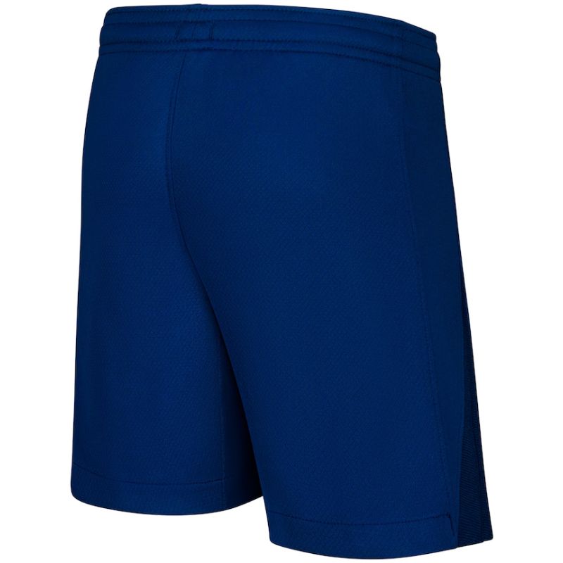 Mens PSG Fourth Shorts 2024/25