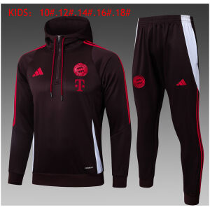 Kids Bayern Munich Hoodie Sweatshirt + Pants Suit Brown 2024/25