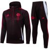 Mens Bayern Munich Hoodie Sweatshirt + Pants Training Suit Brown 2024/25