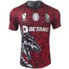 Mens FC Porto Pre-Match Red Jersey 2025/26