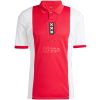 Mens Ajax 125th Anniversary Red Jersey