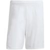 Mens Ajax 125th Years Anniversary Shorts 2025