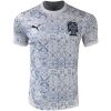 Mens Portugal Special Edition White - Grey Jersey 2025
