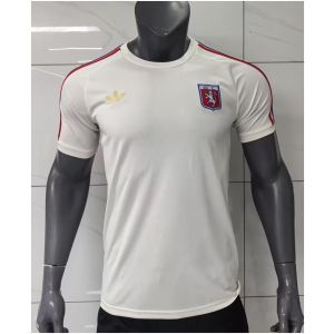 Mens Olympique Lyonnais 75th Anniversay White T-Shirt 2025/26