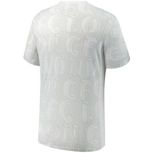 Mens Chelsea Academy Pro Pre-Match Performance Top – White 2025/26 – Match