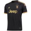 Herren Juventus Retro Drittes Trikot Herren 2015/16-günstige Trikots