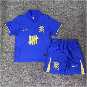 Kids Birmingham City F.C. Home Jersey 2025/26-cheap jerseys
