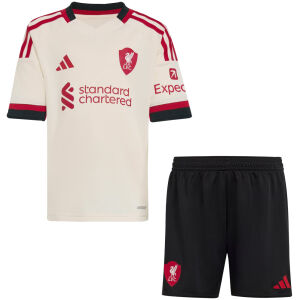 Kids Liverpool Away Jersey 2025/26-cheap jerseys