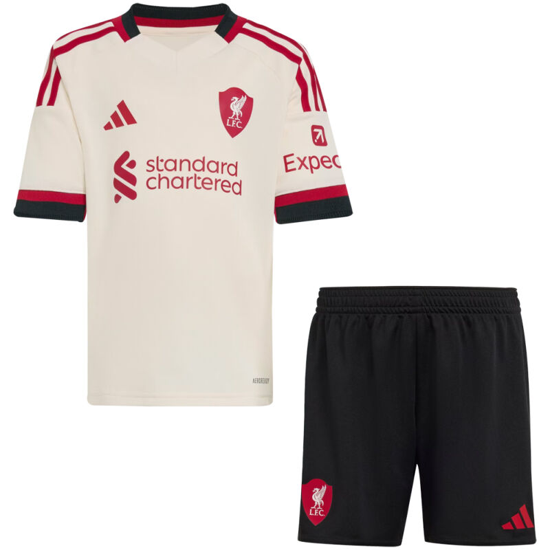 Kids Liverpool Away Jersey 2025/26-cheap jerseys