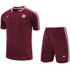 Mens Bayern Munich Short Training Suit Burgundy 2025/26-cheap jerseys
