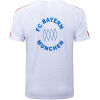 Mens Bayern Munich Polo Shirt White II 2025/26-cheap jerseys 1