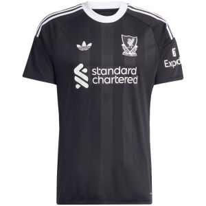 Mens Liverpool Goalkeeper Black Authentic Jersey 2025/26 – Match