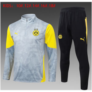 Kids Borussia Dortmund Training Suit Light Grey 2025/26