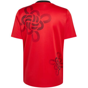 Mens Manchester United Chinese New Year Special Edition Red Jersey 2025/26