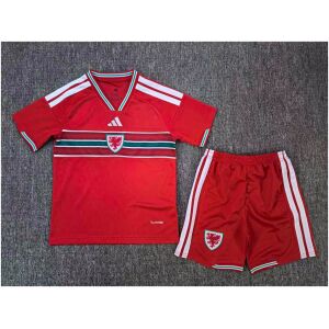 Kids Wales Home Jersey FIFA World Cup 2026