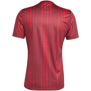 Mens Arsenal Special Edition Red Jersey 2025/26