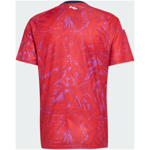 Mens Costa Rica Home Jersey FIFA World Cup 2026