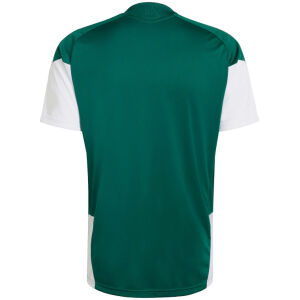 Mens Italy Pre-Match Short Training Green Jersey FIFA World Cup 2026