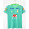 Mens Brazil Retro Short Training Green Jersey 2024