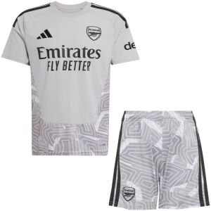 Kids Arsenal Goalkeeper Jersey Grey 2026/27