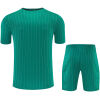 Mens Liverpool Short Training Suit Green 2025/26 Mens Liverpool Short Training Suit Green 2025/26 rear view showing clean waistband and athletic cut