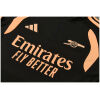Mens Arsenal Training Suit Black 2026/27-jerseyio
