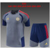 Kids Bayern Munich Short Grey Training Suit 2026/27