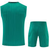 Mens Liverpool Singlet Suit Green 2025/26-jerseyio