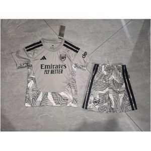 Kids Arsenal Goalkeeper Jersey Grey 2026/27
