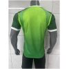 Mens Nigeria Home Jersey FIFA World Cup 2026-jerseyio