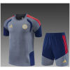 Kids Bayern Munich Short Grey Training Suit 2026/27