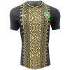 Mens Morocco Special Edition Black Gold Jersey FIFA World Cup 2026-jerseyio