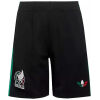 Mens Mexico Third FIFA World Cup Shorts 2026