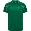 Mens Real Betis Green Short Sleeve Training Jersey 2026/27