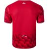 Mens Lille OSC Home Jersey 2025/26 Mens Lille OSC Home Jersey 2025/26 rear view showing matching team styling