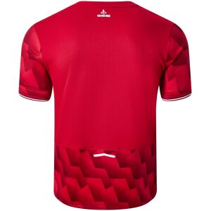 Mens Lille OSC Home Jersey 2025/26 rear view showing matching team styling