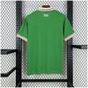 Mens Ireland green Home Jersey 2025 back view detail